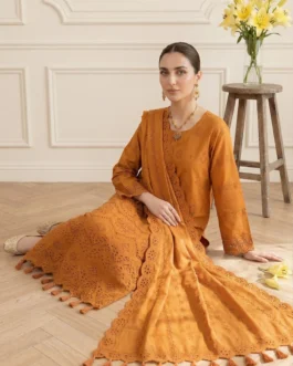 Bareeza Chikankari Des-04