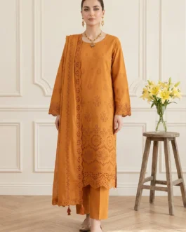 Bareeza Chikankari Des-04