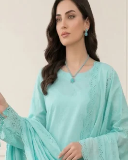 Bareeza Chikankari Des-03