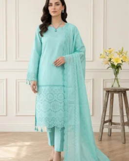 Bareeza Chikankari Des-03