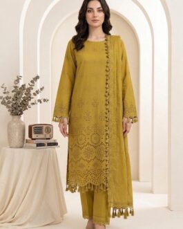 Bareeza ChickenKari Des-06